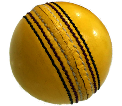 Qdos Cricket Leather Indoor Cricket Ball